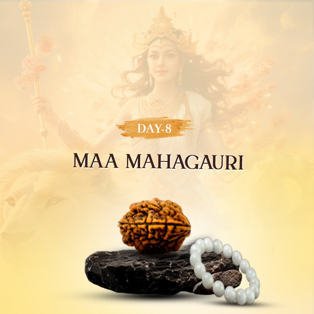 Day 8 - 2 Mukhi Rudraksha + Moonstone Bracelet
