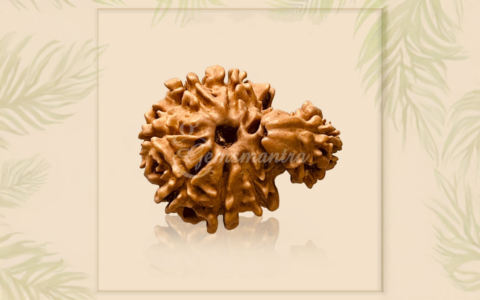 1 Mukhi Rudraksha Savar (Nepali)