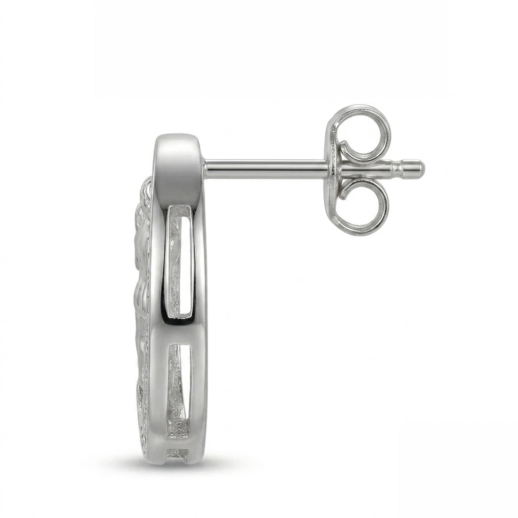 Aquarius Zodiac Silver Earrings