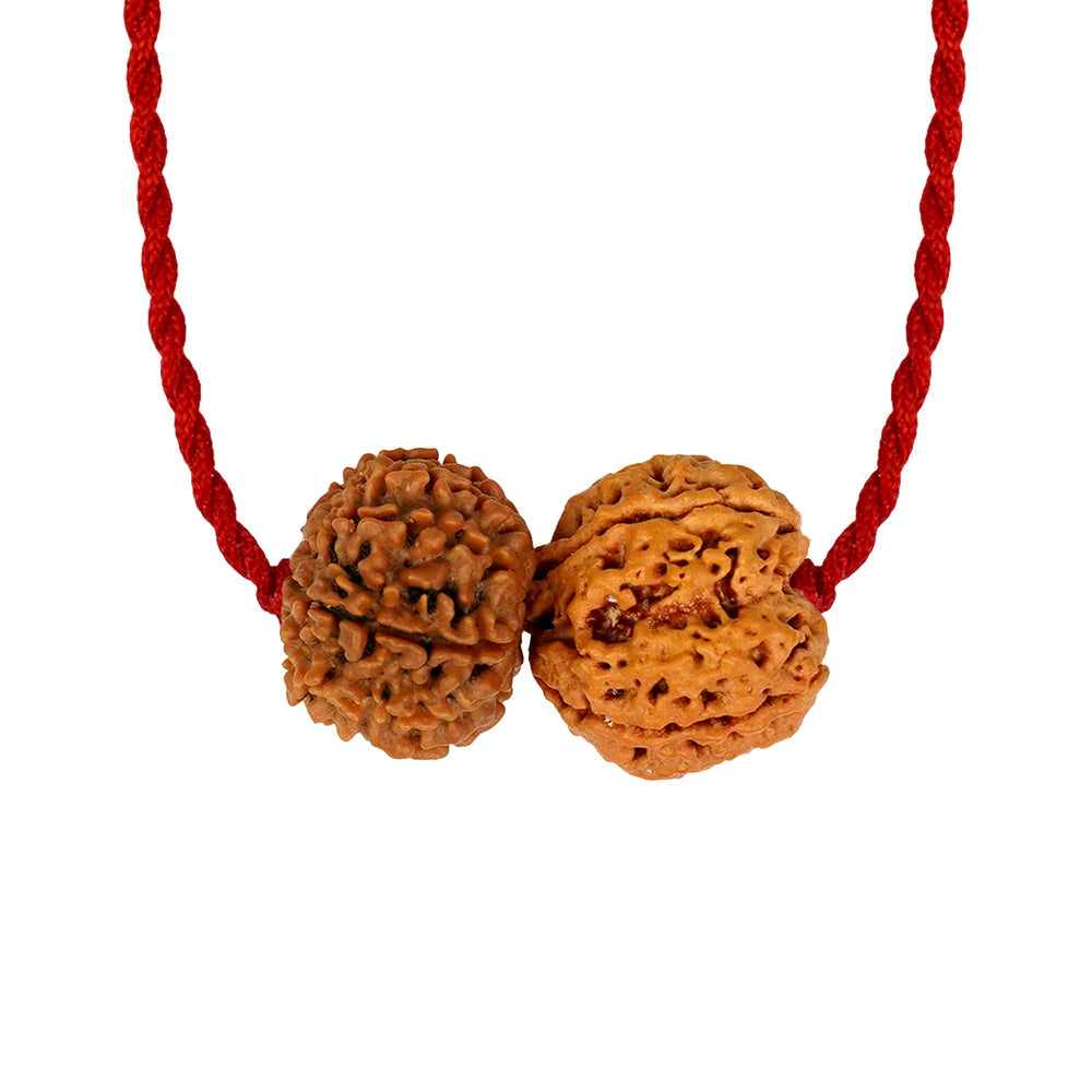 Budh-Shani Gyaan Kavach – 4 & 14 Mukhi Rudraksha