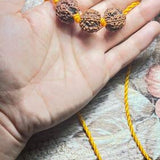 Customer photo: three Rudraksha beads held in a palm