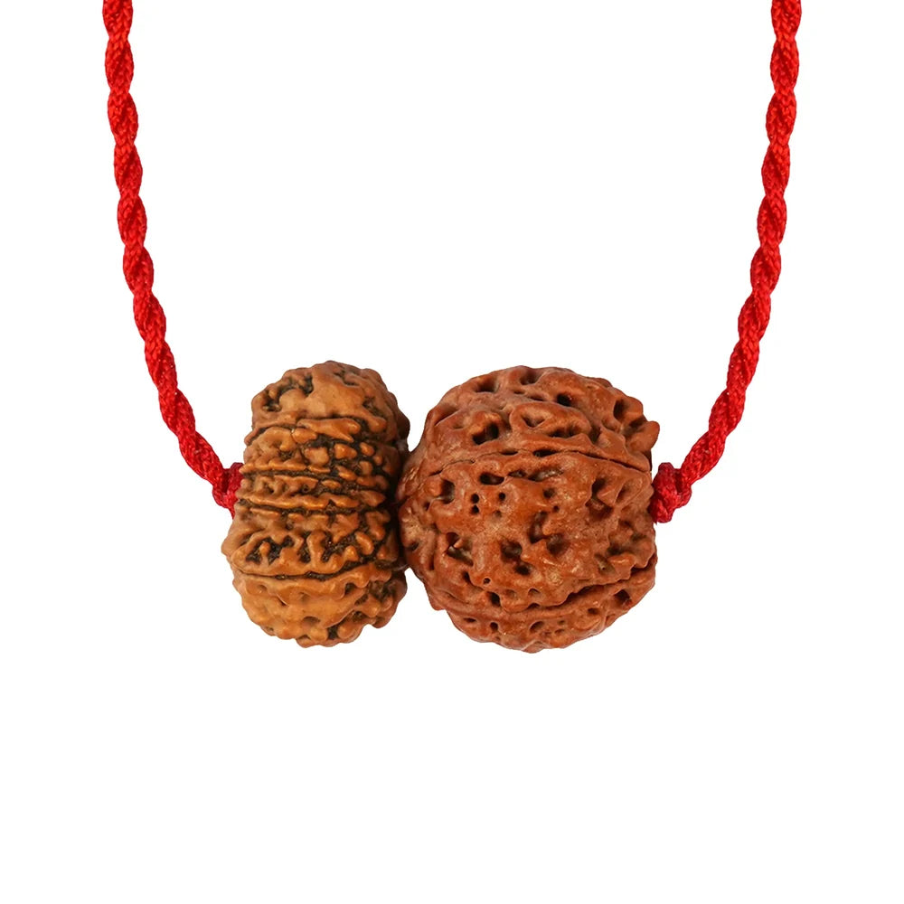 Guru-Surya Rajyog Satta Prabhav Kavach – 12 & 5 Mukhi Rudraksha