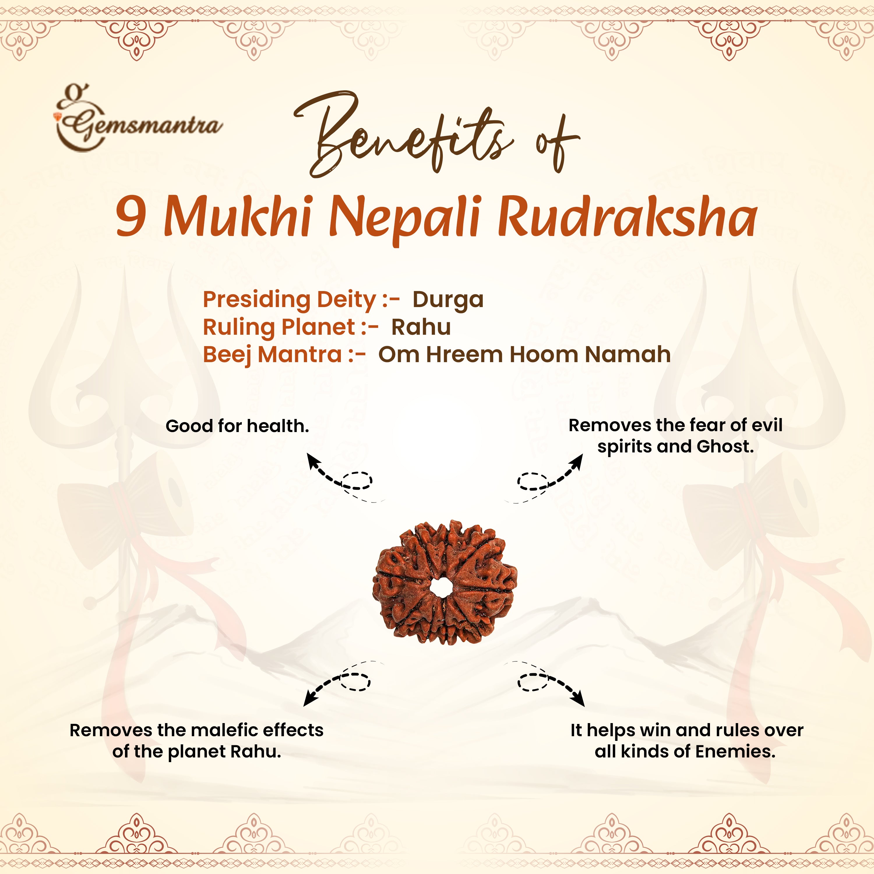 9 Mukhi Rudraksha (Nepali)