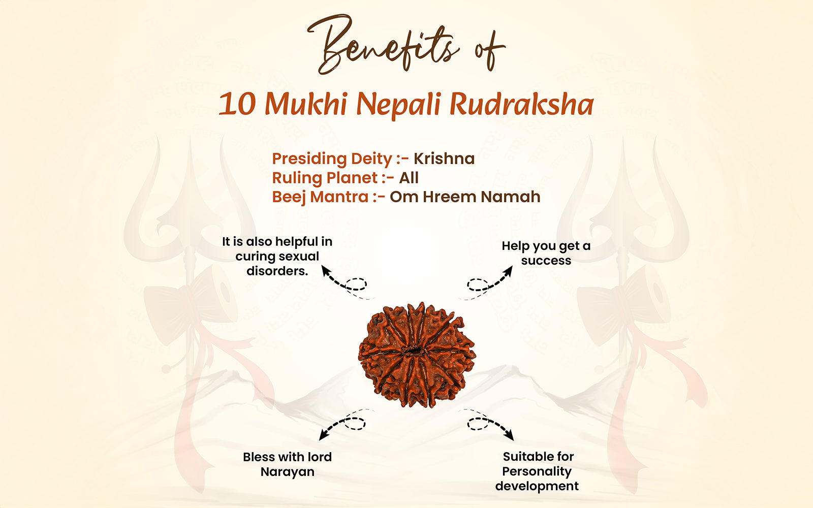 10 Mukhi Rudraksha (Nepali)