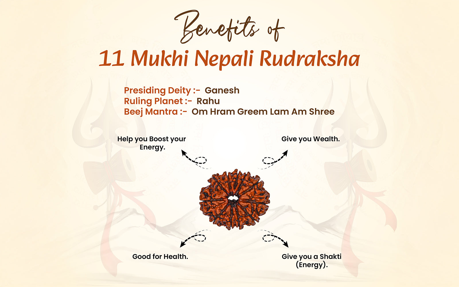 11 Mukhi Rudraksha (Nepali)