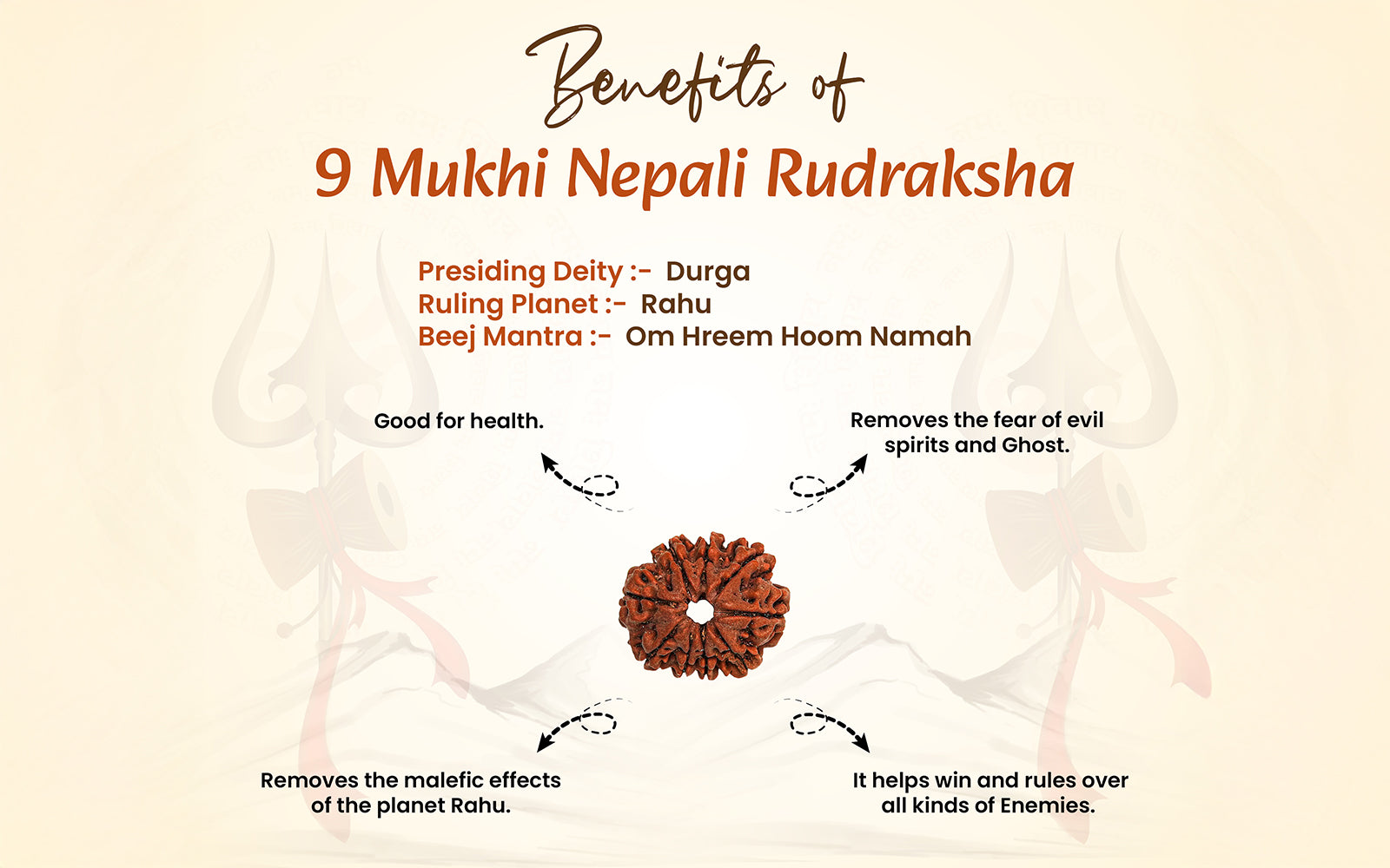 9 Mukhi Rudraksha (Nepali)