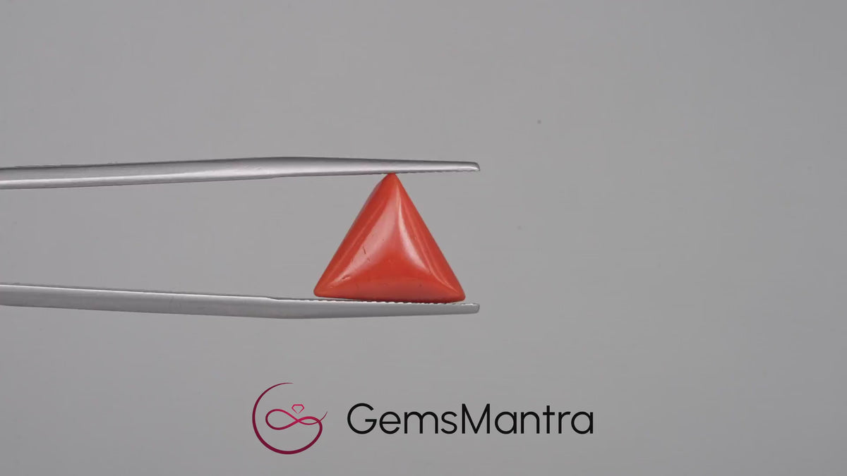 Red Coral - 4.88 Carats