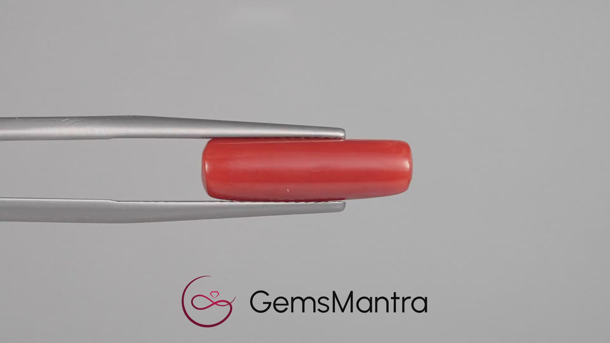 Red Coral - 4.97 Carats