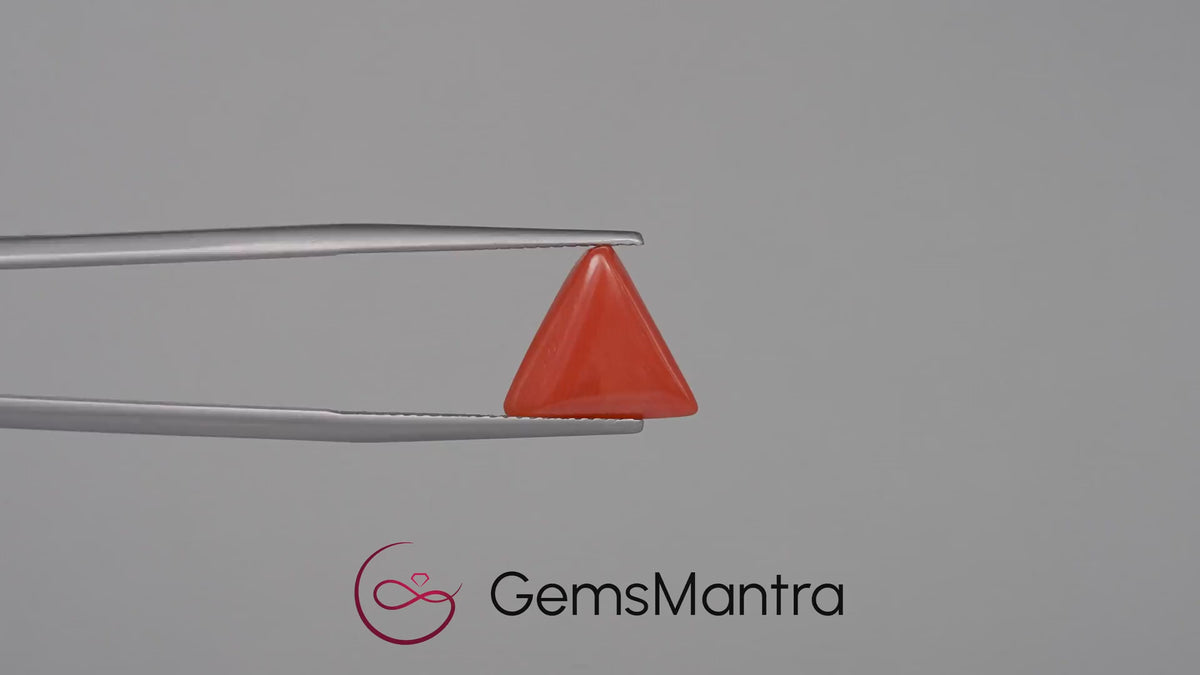 Red Coral - 3.34 Carats