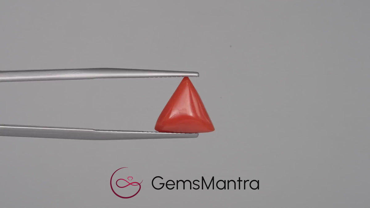 Red Coral - 3.45 Carats
