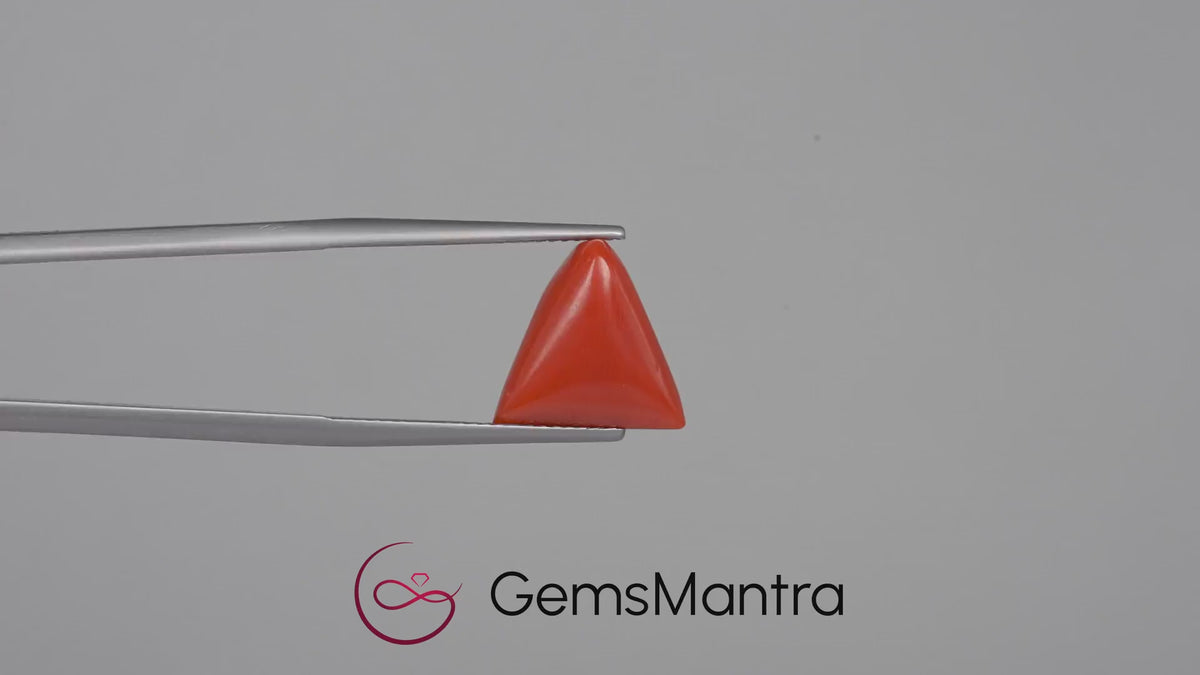 Red Coral - 5.29 Carats