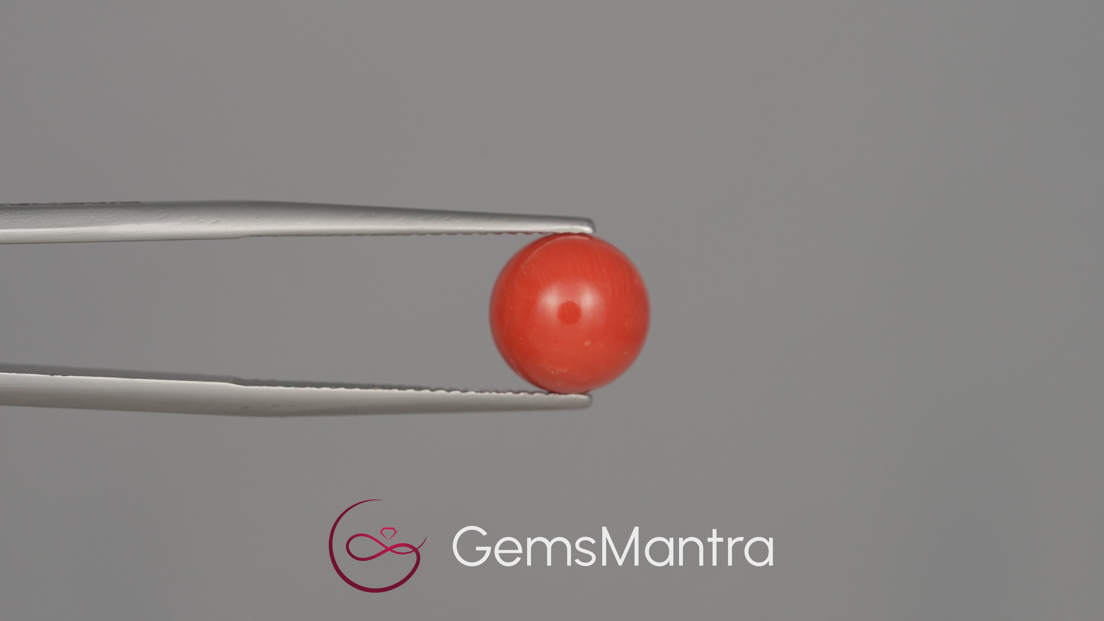 Red Coral (Moonga) - 5.23 Carats