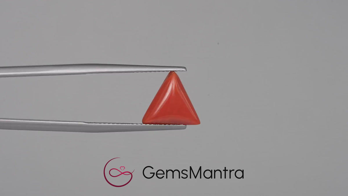 Red Coral - 3.21 Carats