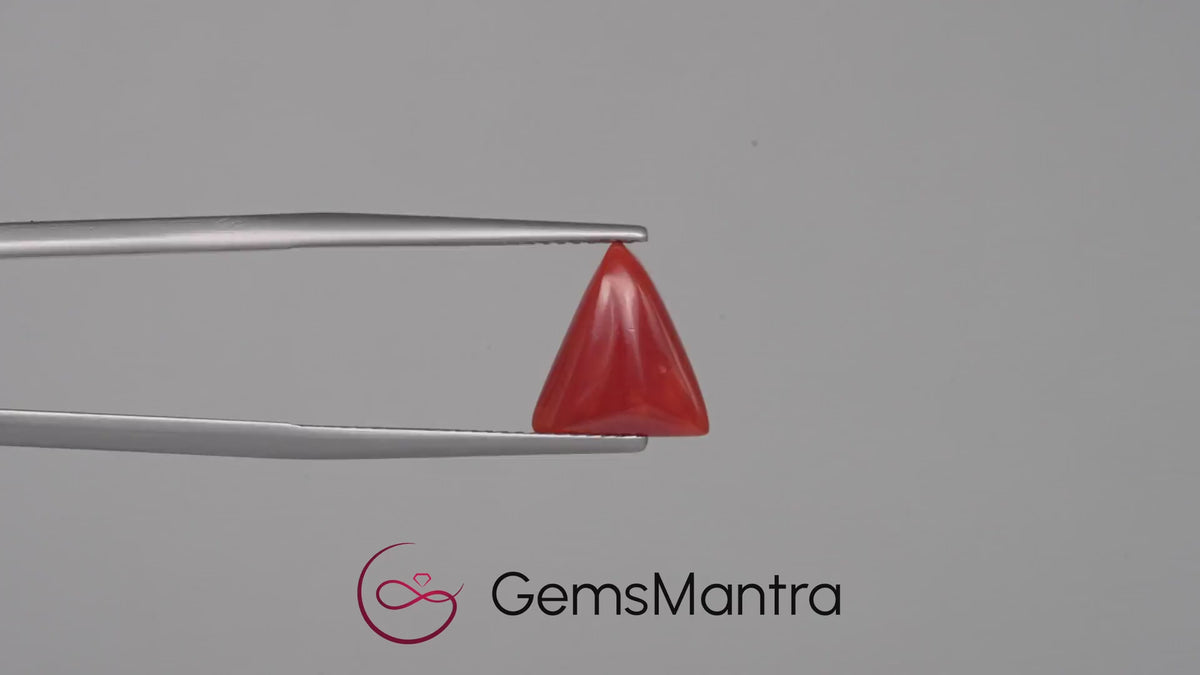 Red Coral - 2.89 Carats