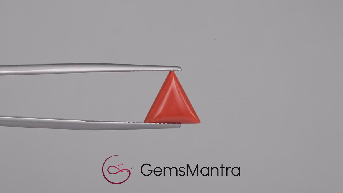 Red Coral - 2.87 Carats