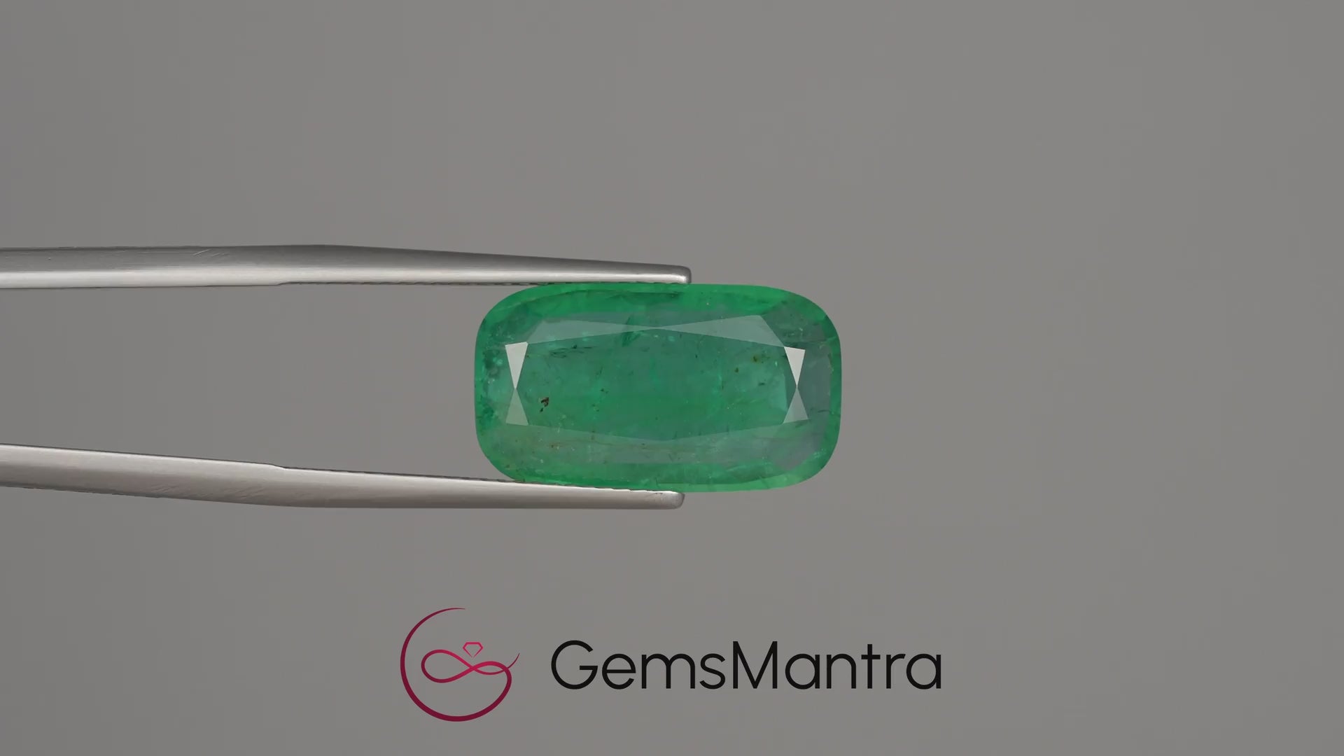 Emerald (Panna) - 6.83 Carats