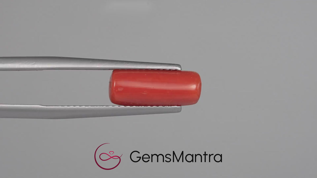 Red Coral - 3.73 Carats