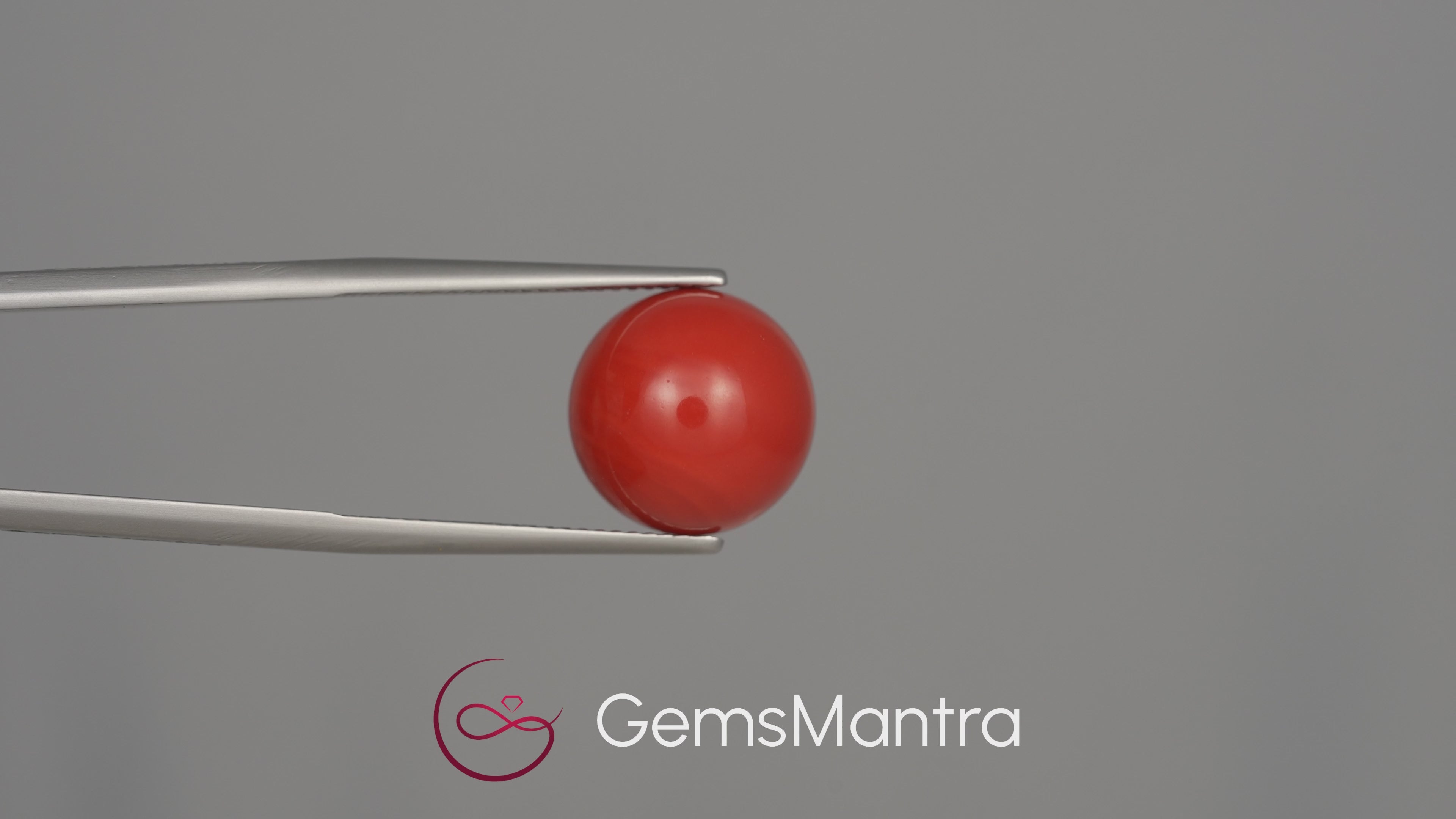 Red Coral (Moonga) - 14.06 Carats