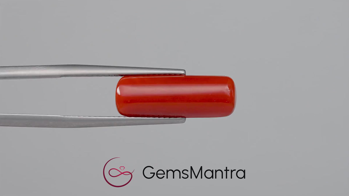 Red Coral - 8.15 Carats