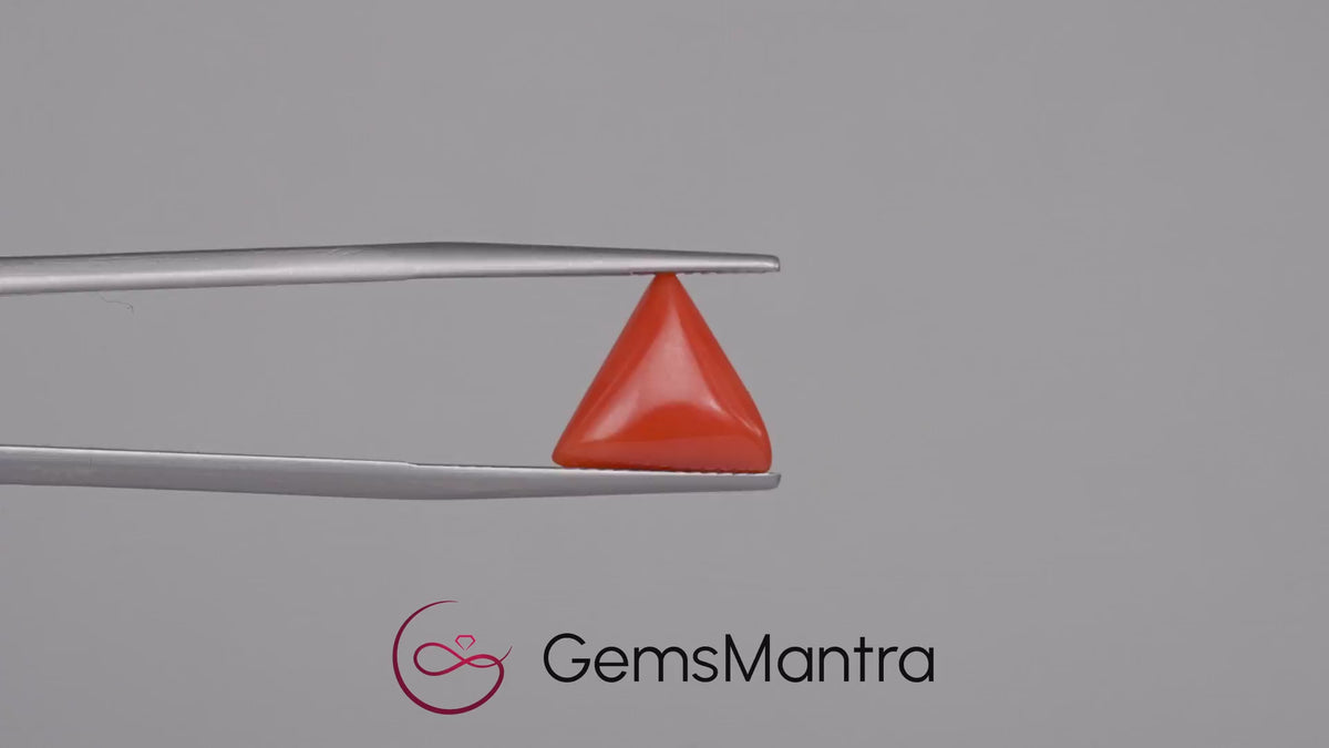 Red Coral - 3.52 Carats