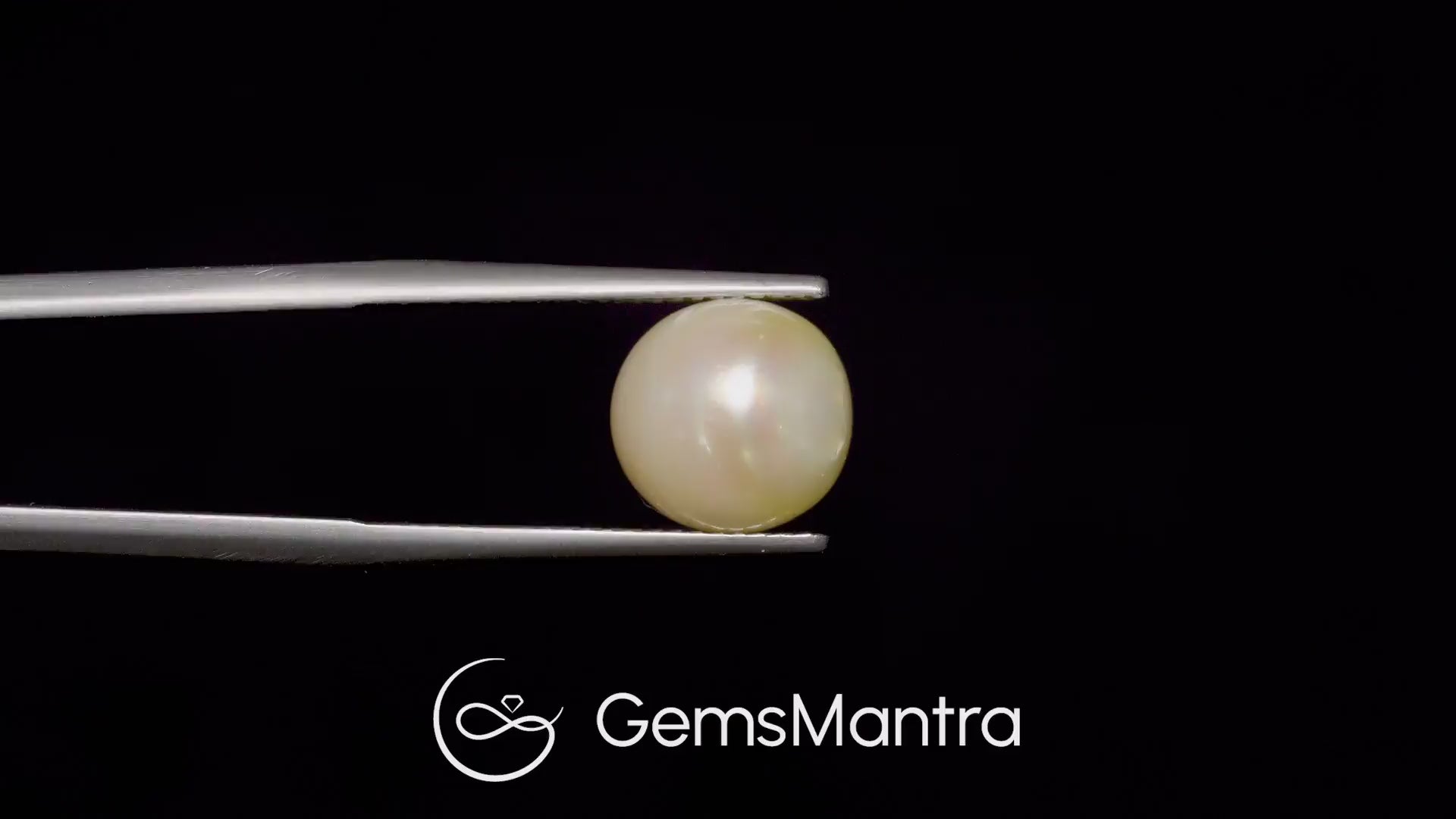 South Sea Pearl (Moti) – 7.34 Carat / 8.1 Ratti [GM03015]