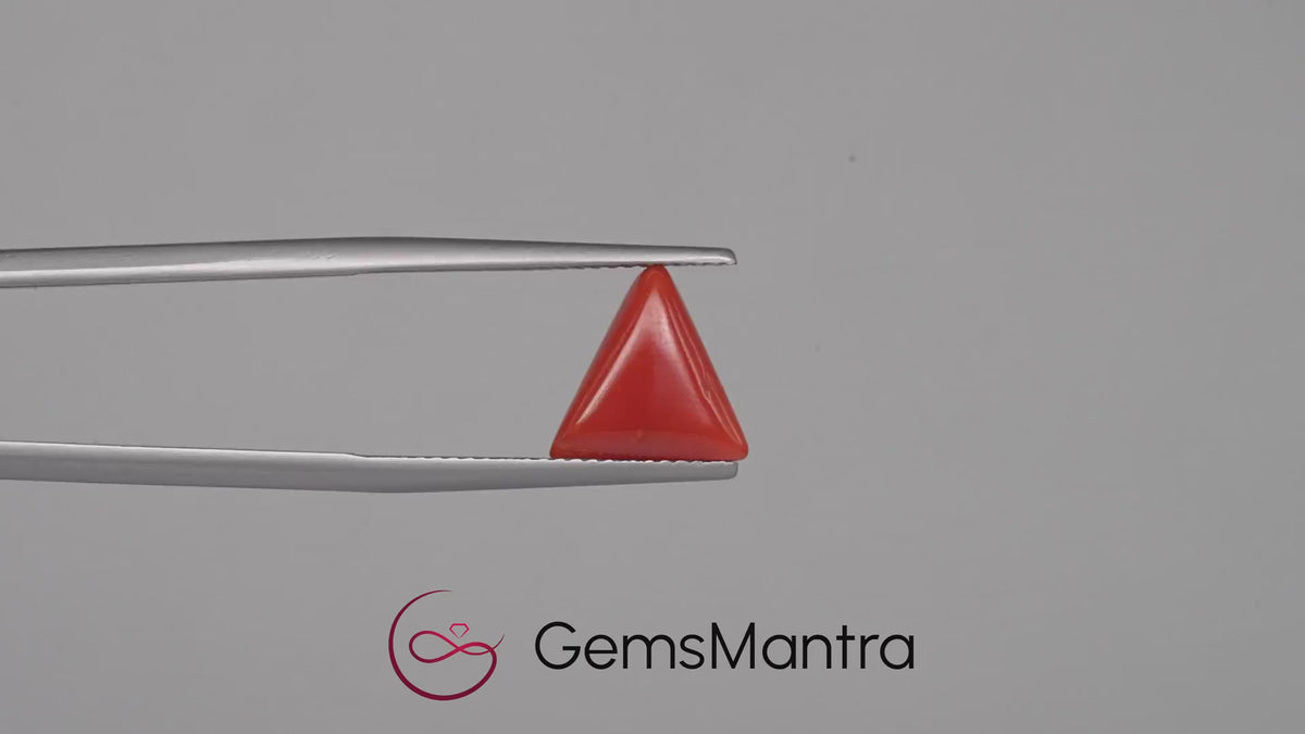 Red Coral - 2.9 Carats