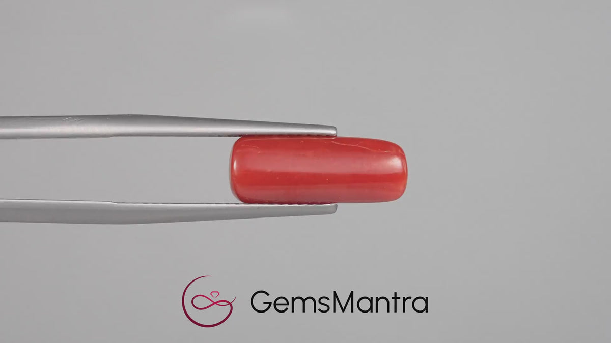 Red Coral - 4.62 Carats