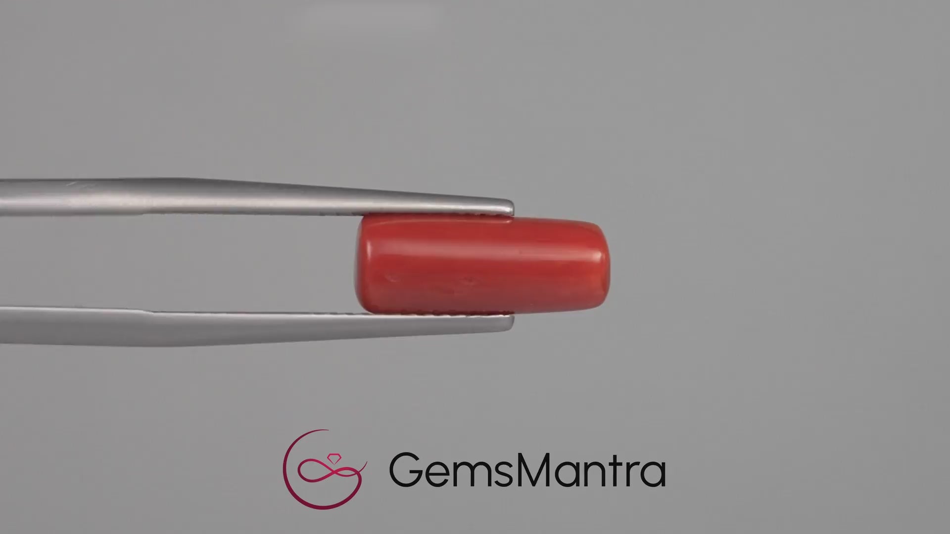 Red Coral - 3.73 Carats