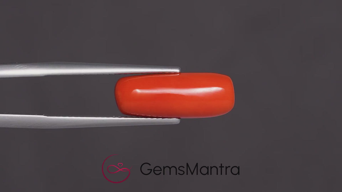 Red Coral - 7.15 Carats