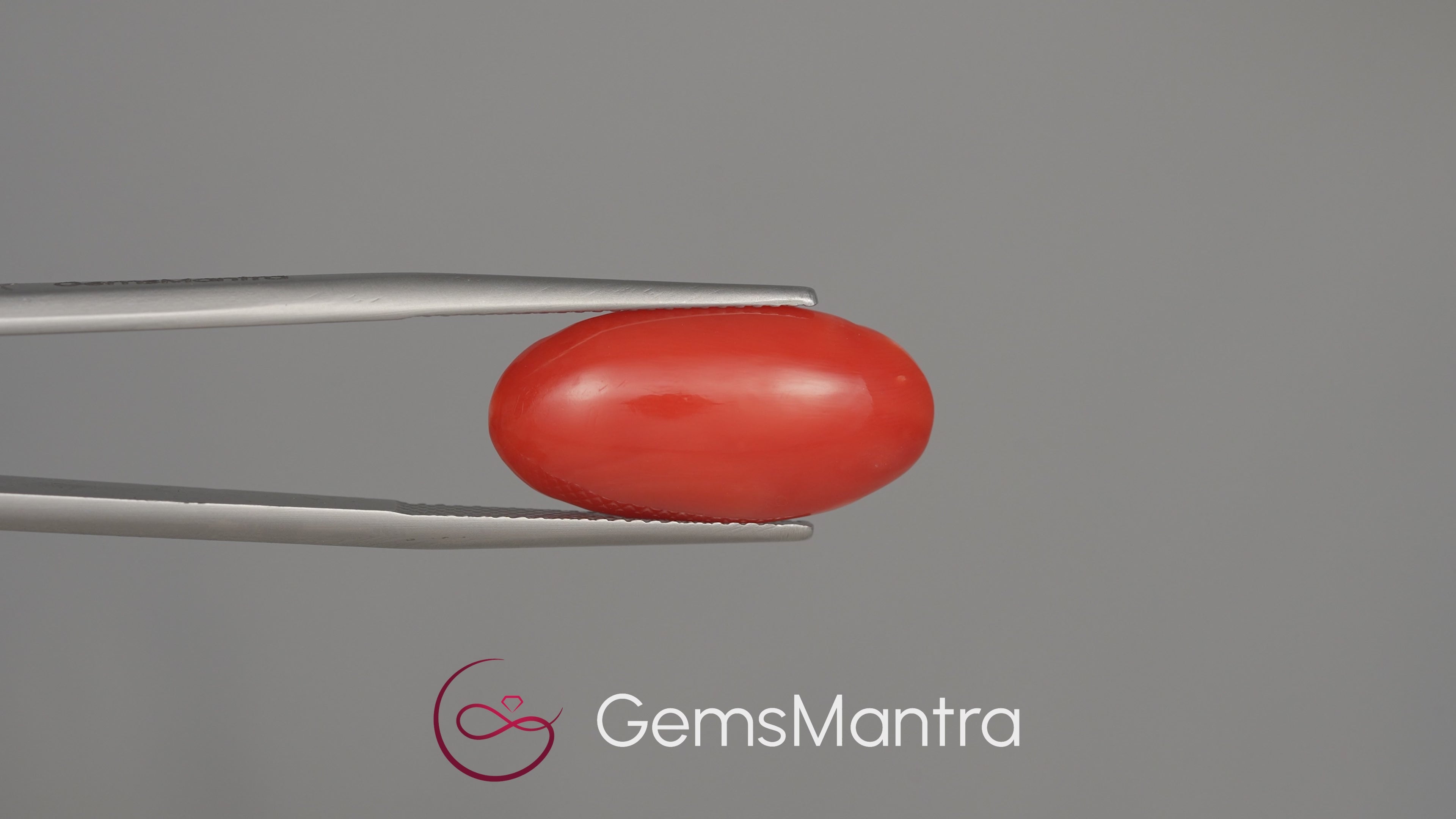 Red Coral (Moonga) - 9.26 Carats