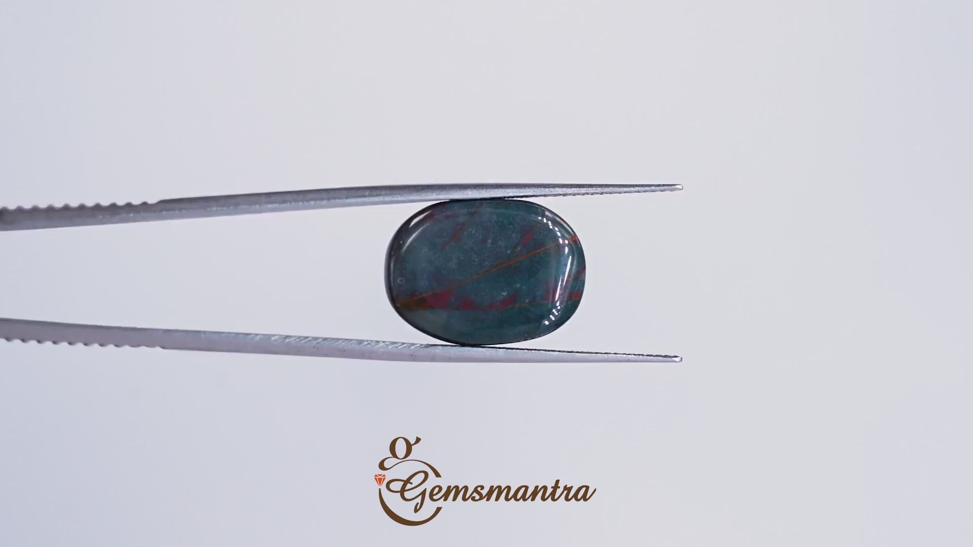 Bloodstone – 11.95 Carat / 13.1 Ratti [GM00128]