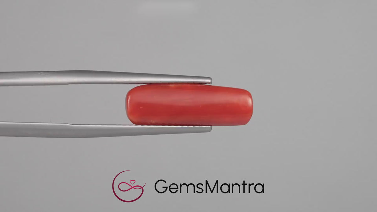 Red Coral - 4.92 Carats