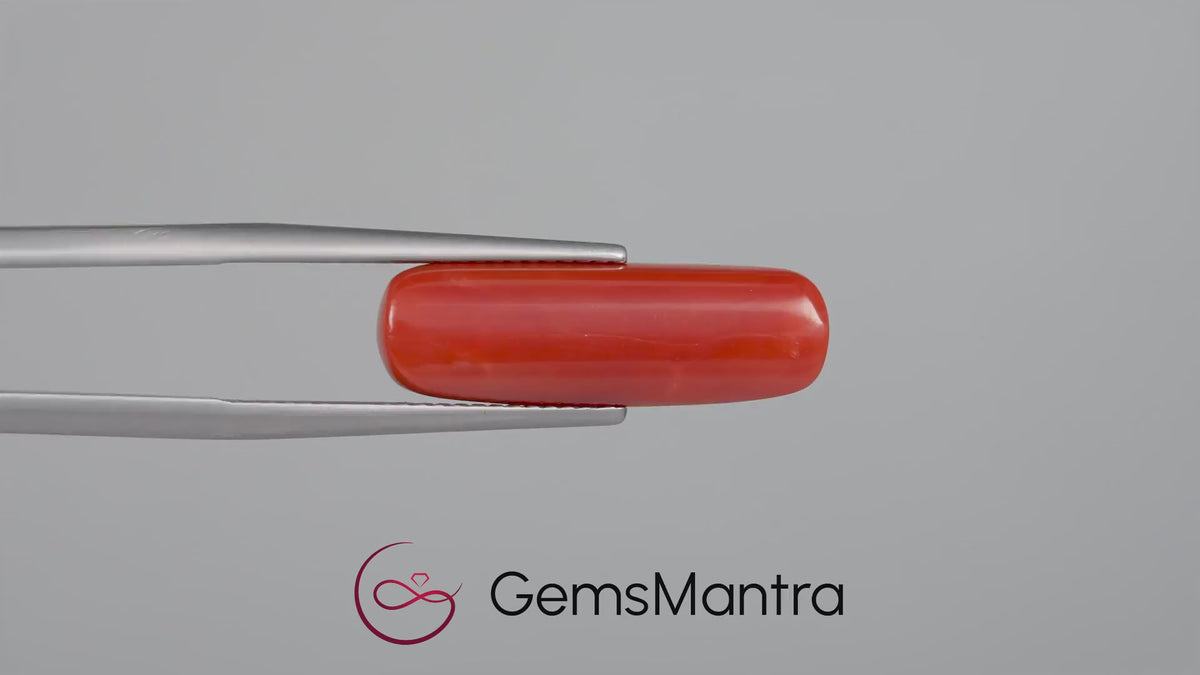 Red Coral - 8.31 Carats