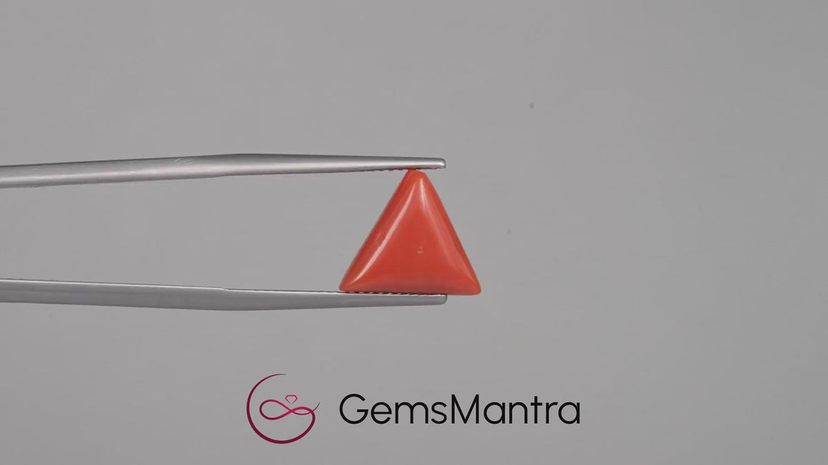 Red Coral - 4.7 Carats