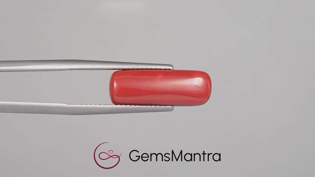 Red Coral - 8.01 Carats