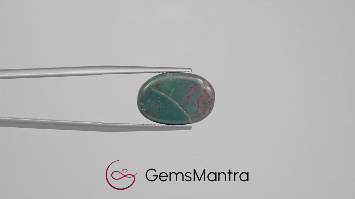 Bloodstone (10.13 Carats)