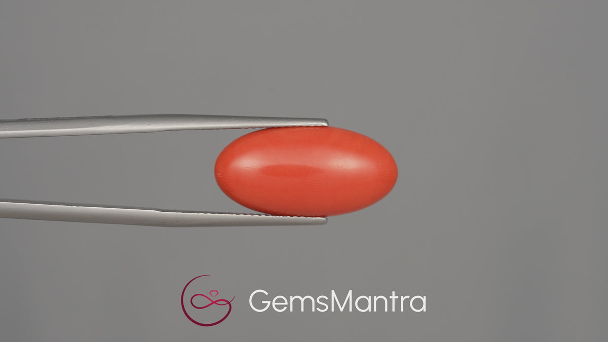 Red Coral (Moonga) - 8.69 Carats