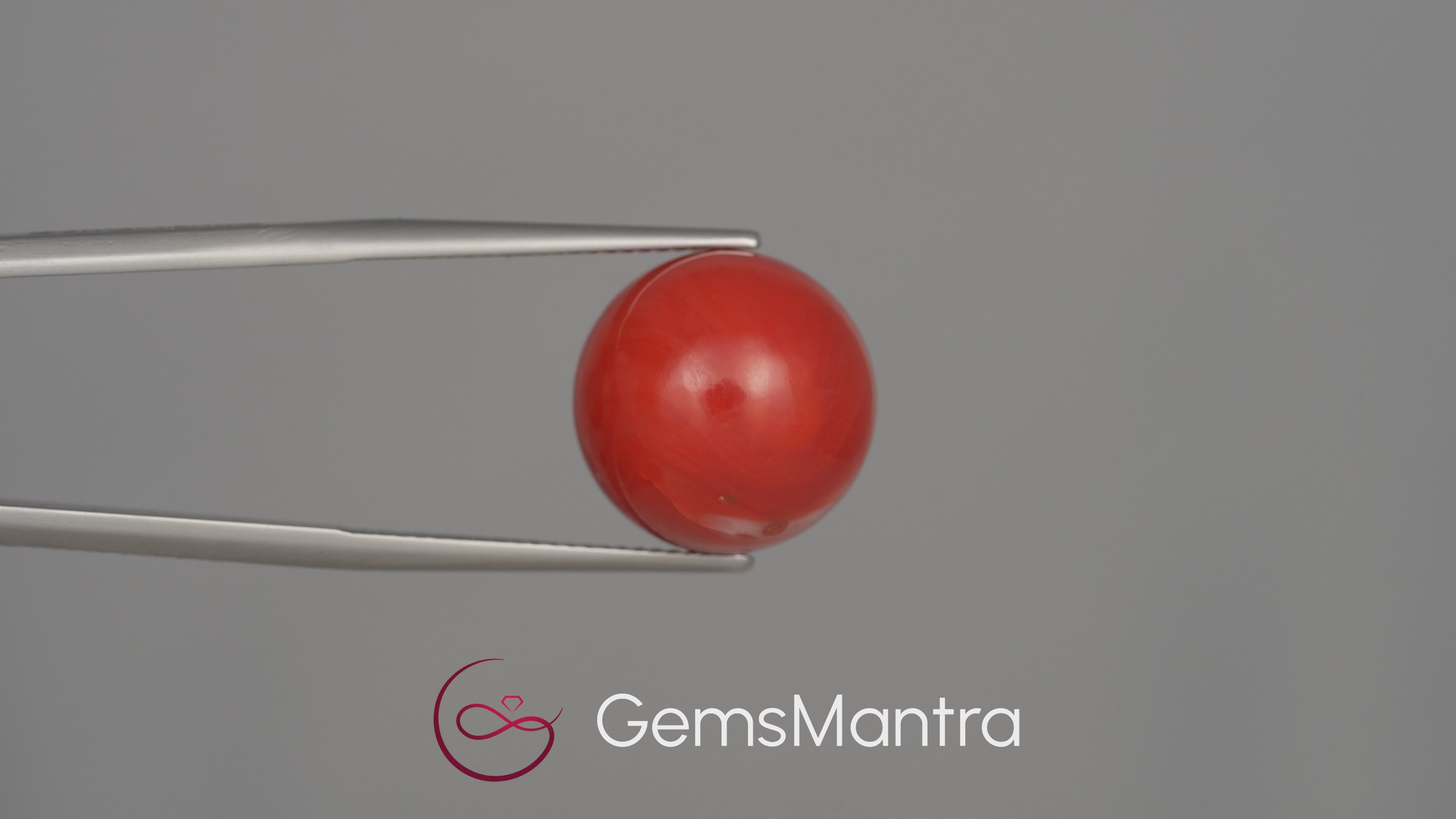 Red Coral (Moonga) - 21.78 Carats