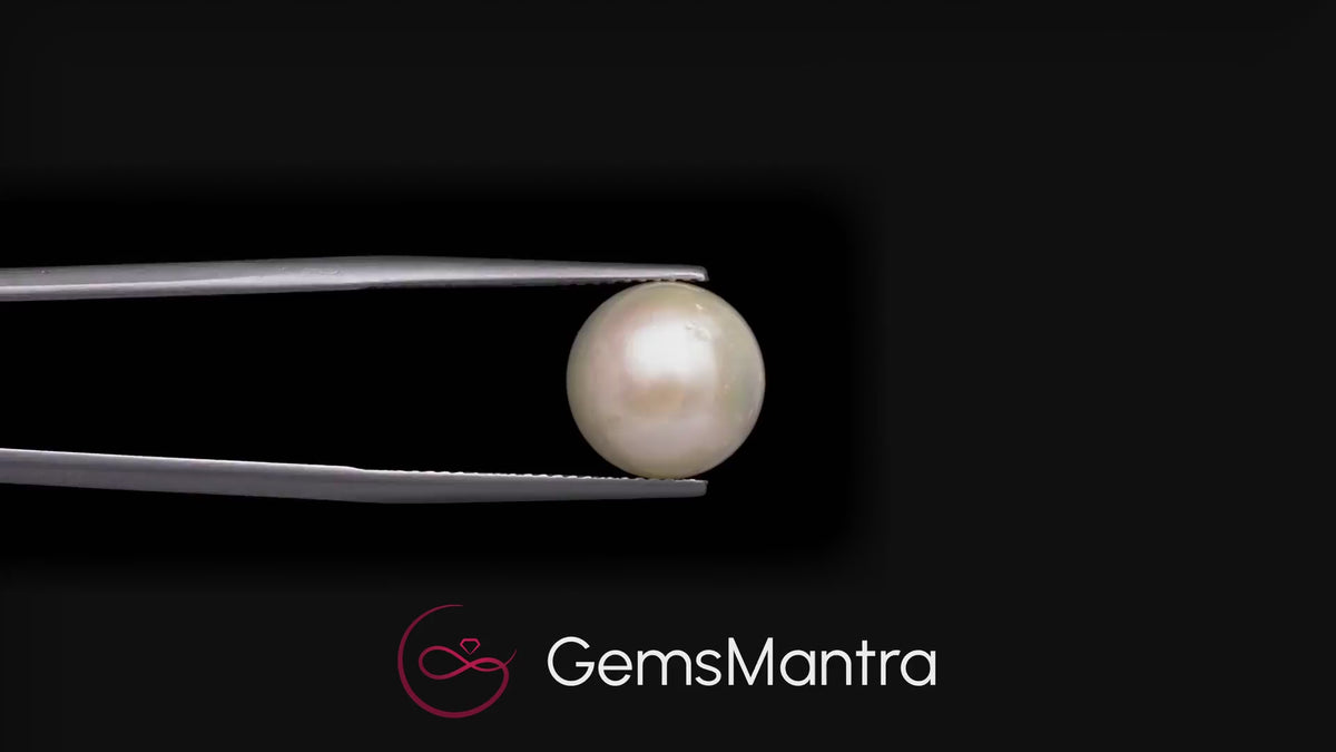 South Sea Pearl - 10.58 Carats