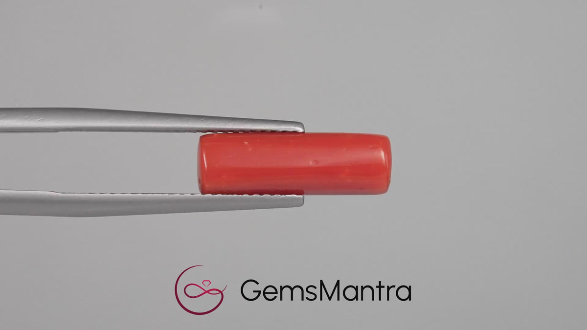 Red Coral - 4.28 Carats
