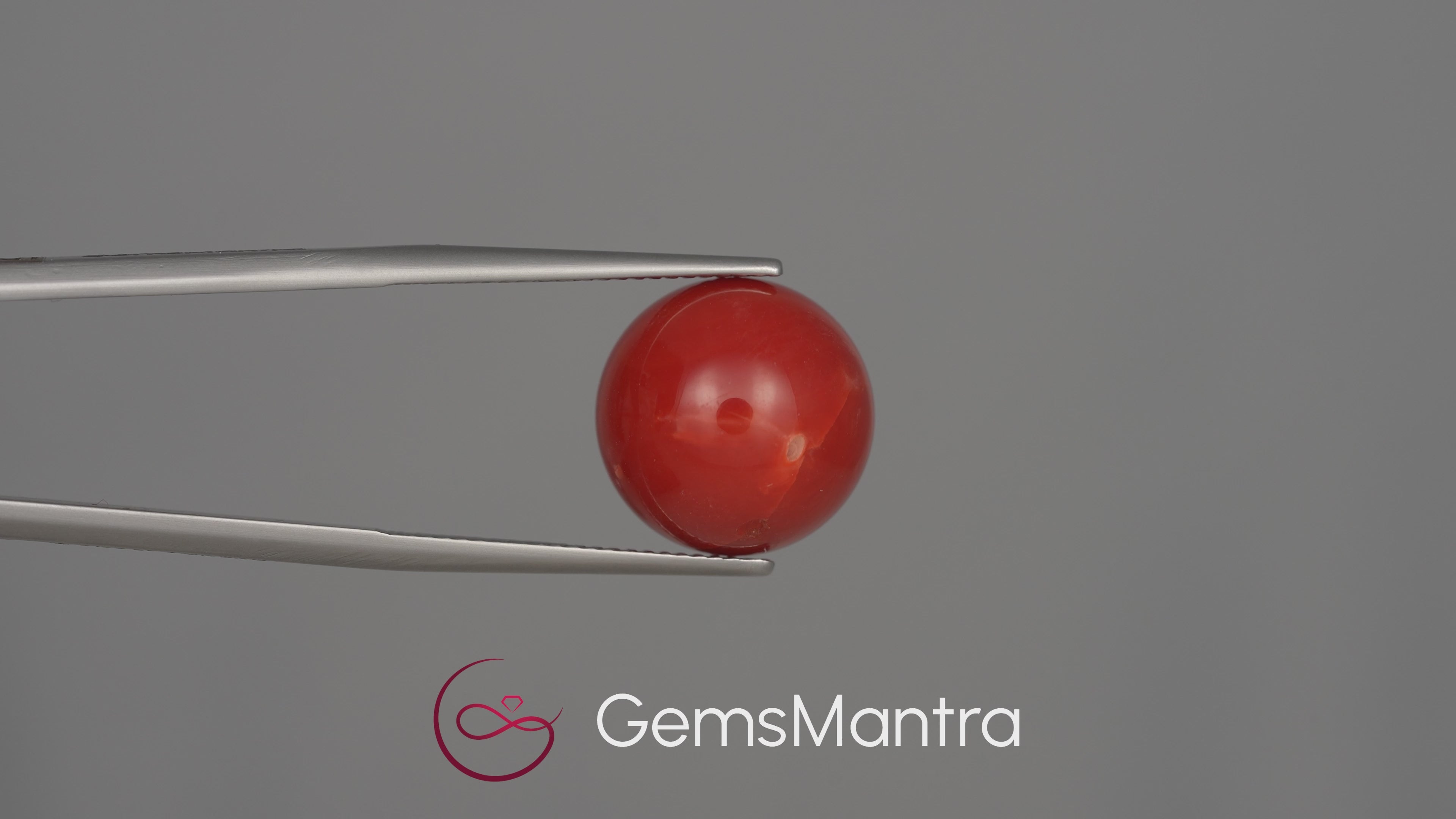 Red Coral (Moonga) - 19.48 Carats