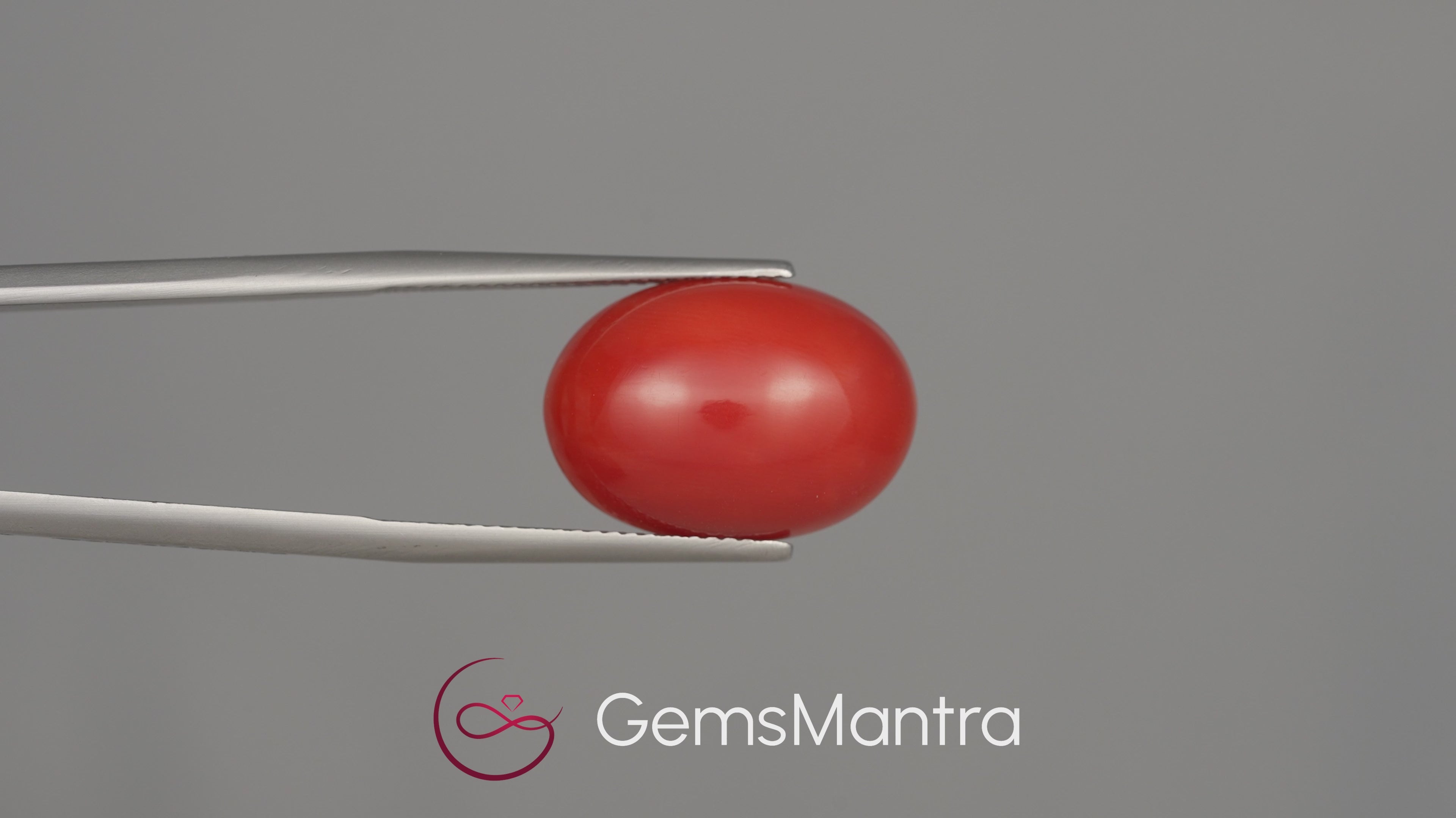 Red Coral (Moonga) - 11.3 Carats