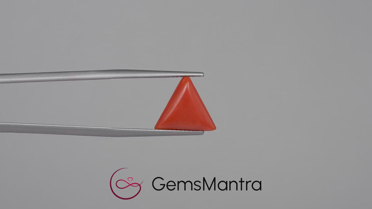 Red Coral - 4.56 Carats