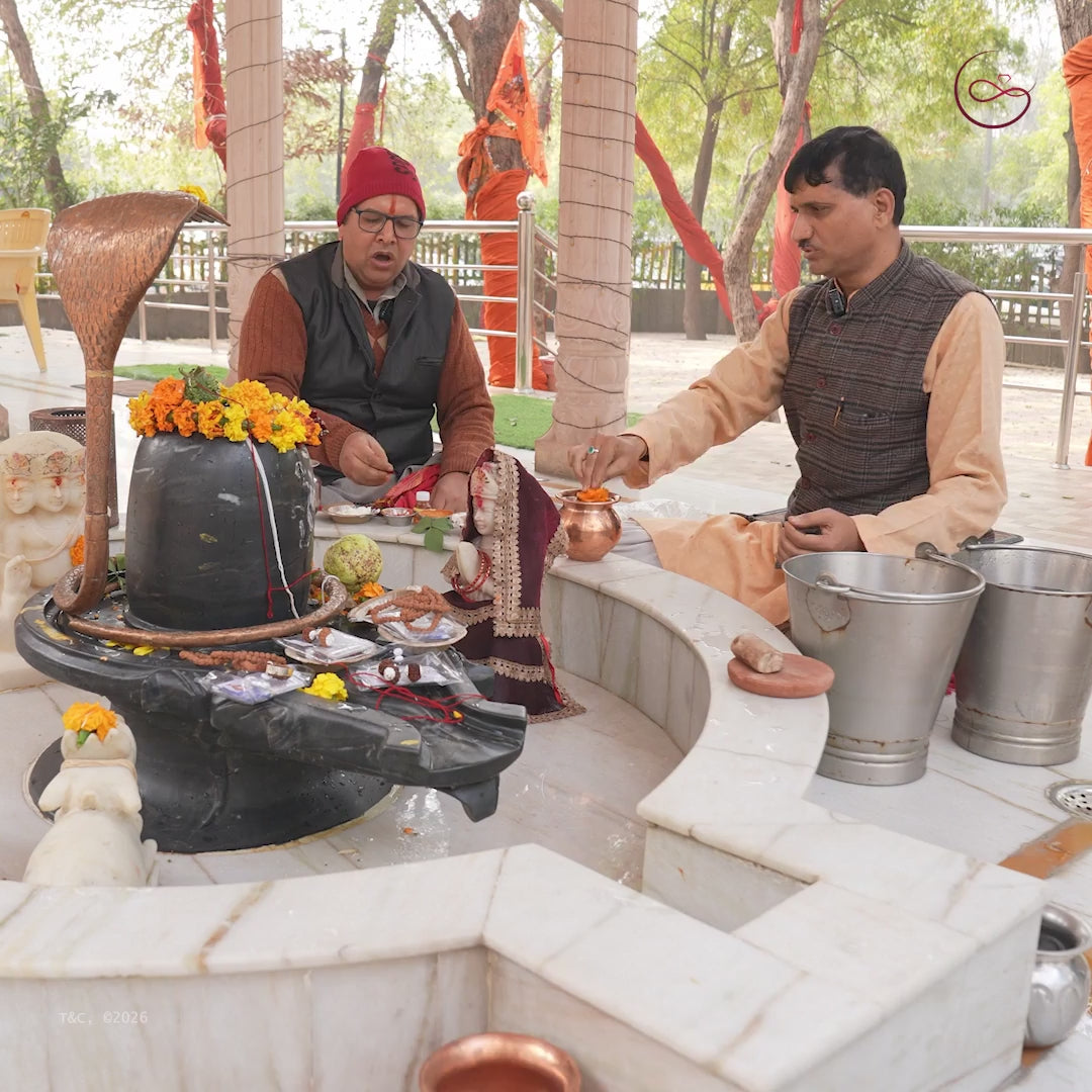 Vyapar Vriddhi Kavach – 7, 8 & 12 Mukhi Rudraksha