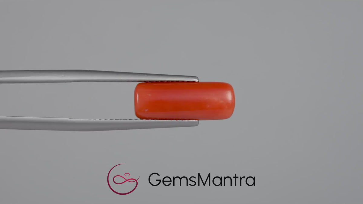 Red Coral - 5 Carats