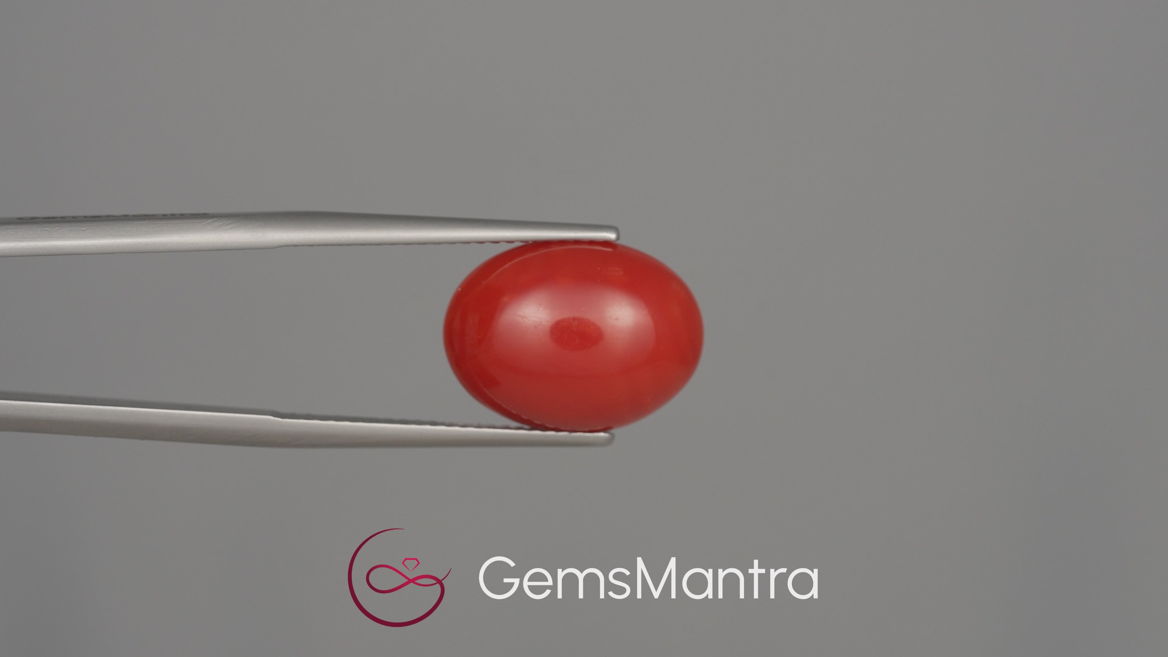 Red Coral (Moonga) - 6.64 Carats