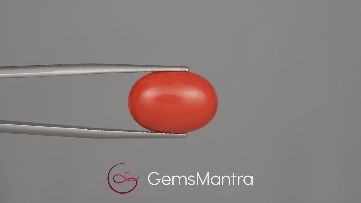 Red Coral (Moonga) - 9 Carats