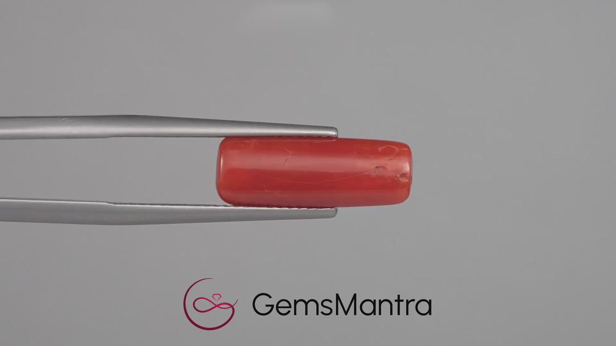 Red Coral - 4.75 Carats
