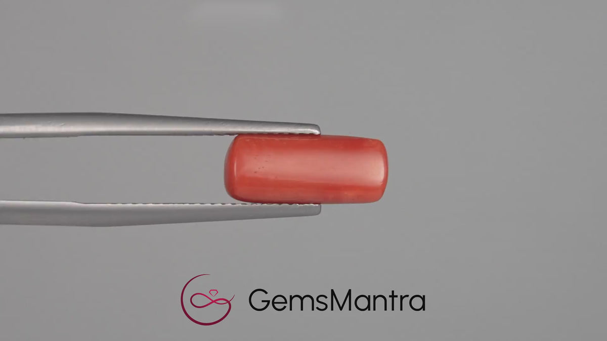 Red Coral - 3.65 Carats
