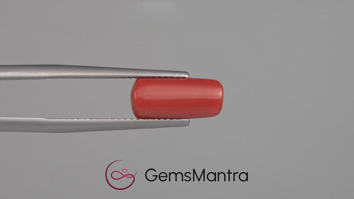Red Coral - 3.71 Carats